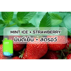 Joiway F4 MINT ICE + STRAWBERRY